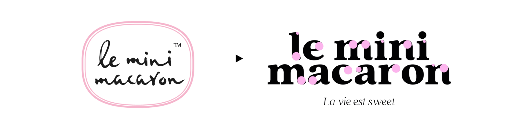 INSIGN-LMM-Image02